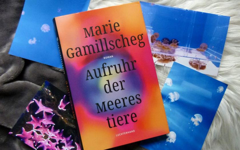 Das Buch liegt auf einem weißen, flauschigen Hintergrund. Um das Buch herum liegen vier Fotografien: Drei davon zeigen verschiedene Quallenarten und das vierte Bild zeigt eine Ansammlung von pinken Seesternen.