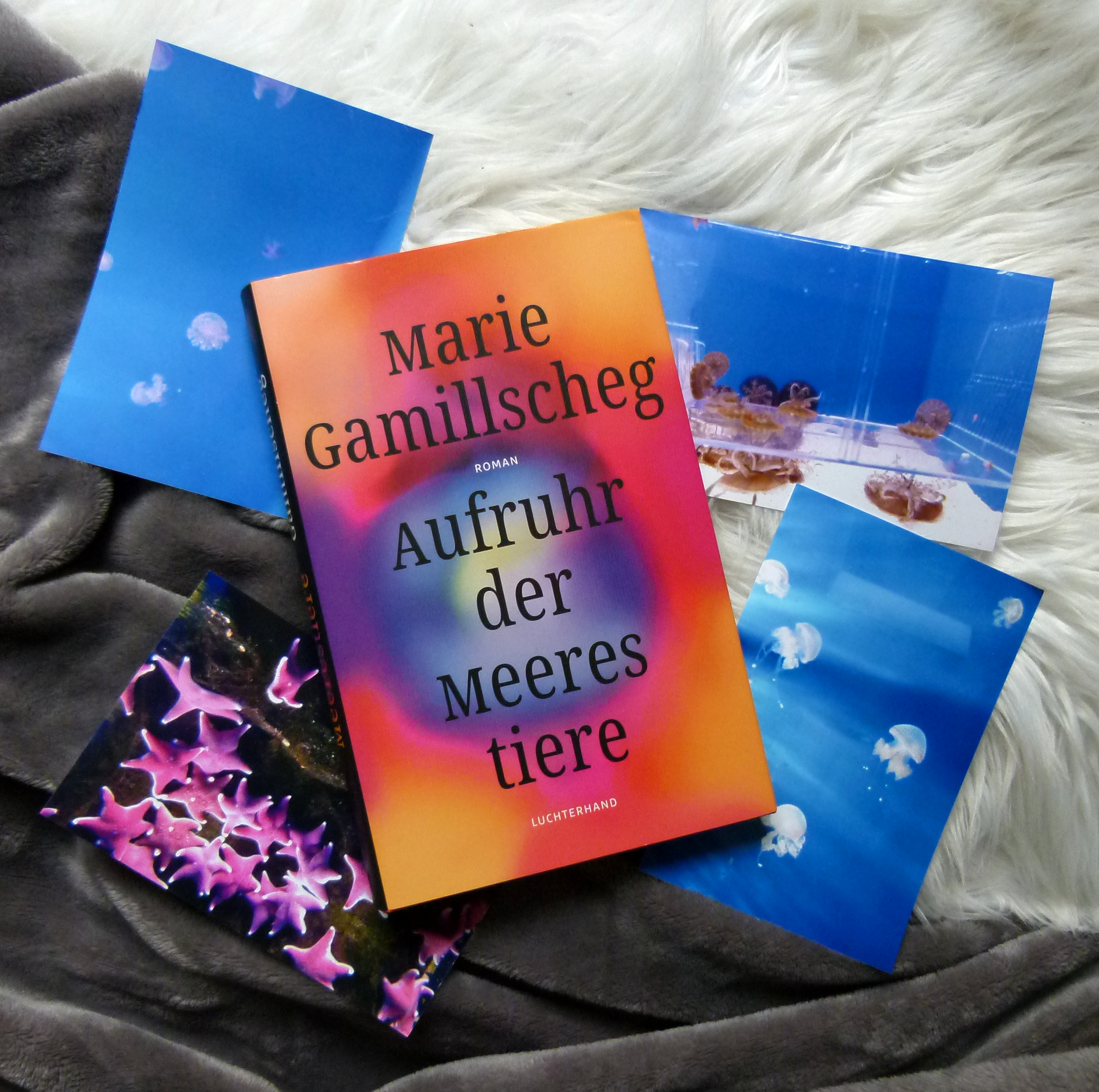 Das Buch liegt auf einem weißen, flauschigen Hintergrund. Um das Buch herum liegen vier Fotografien: Drei davon zeigen verschiedene Quallenarten und das vierte Bild zeigt eine Ansammlung von pinken Seesternen.