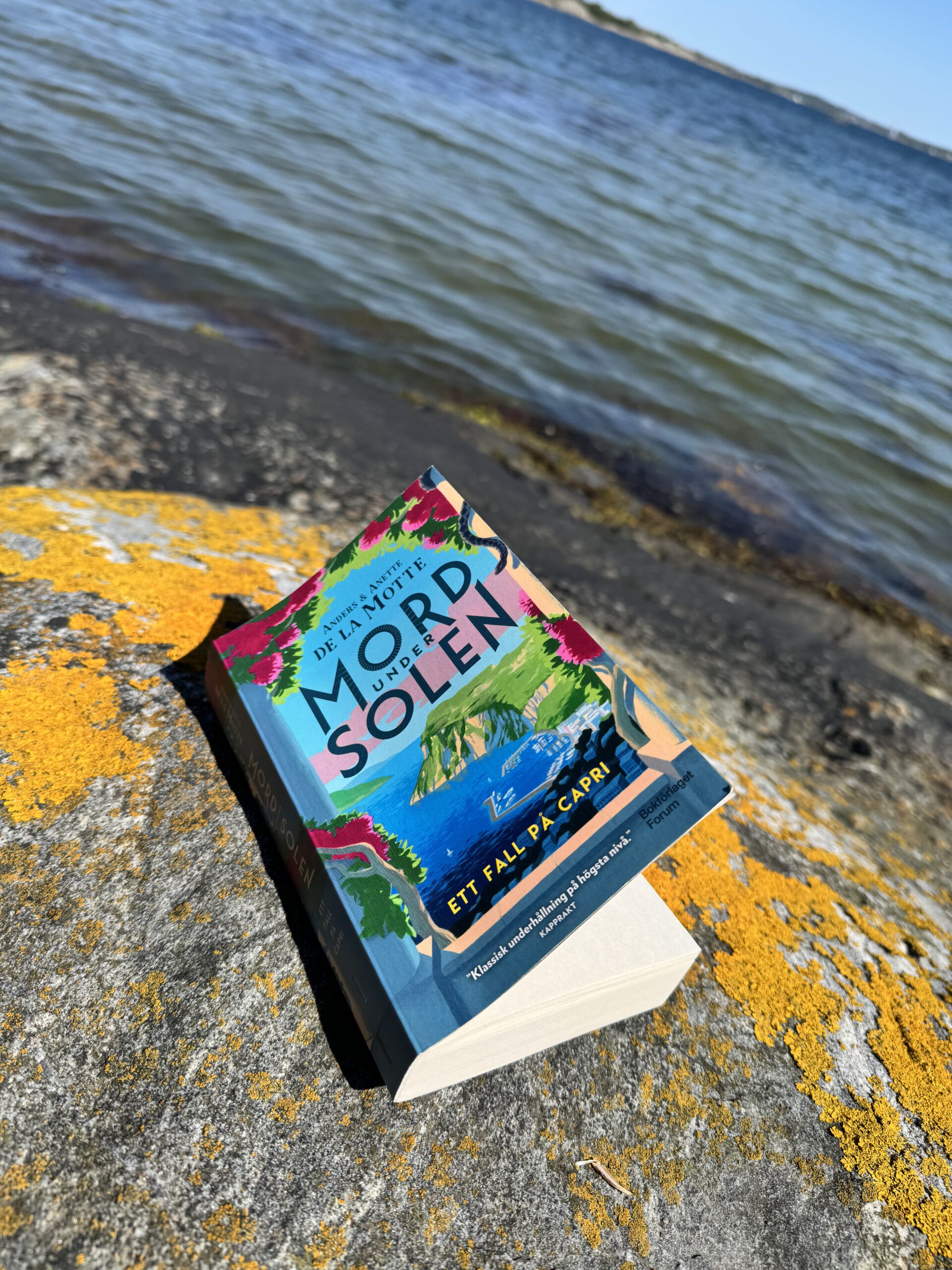 Das Buch liegt auf einem Felsen mit Meerblick