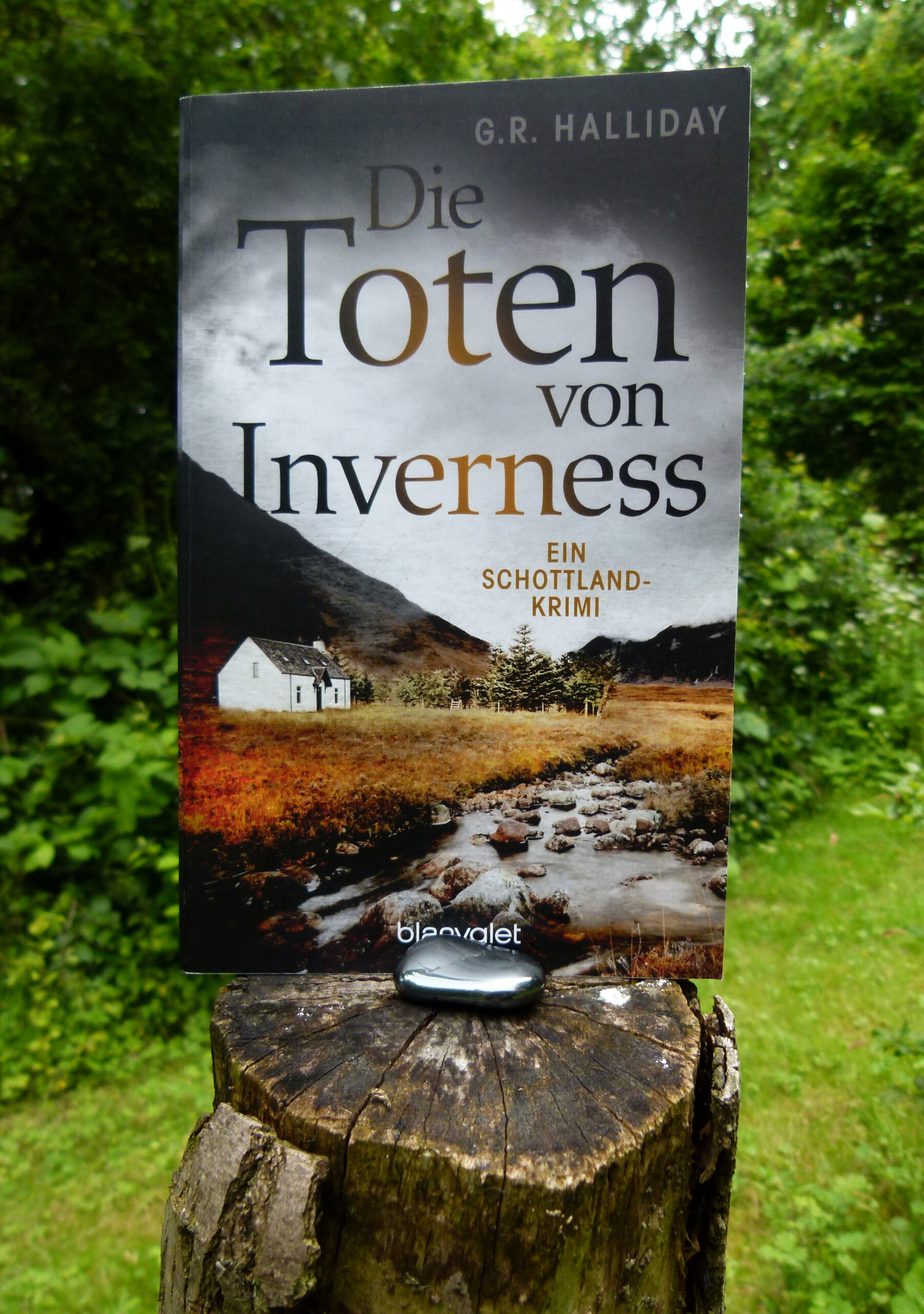Das Buch steht auf einem Baumstumpf. Vor dem Buch liegt ein schwarz-grauer Stein. Im Hintergrund sieht man eine Wise, Bäume und Büsche.